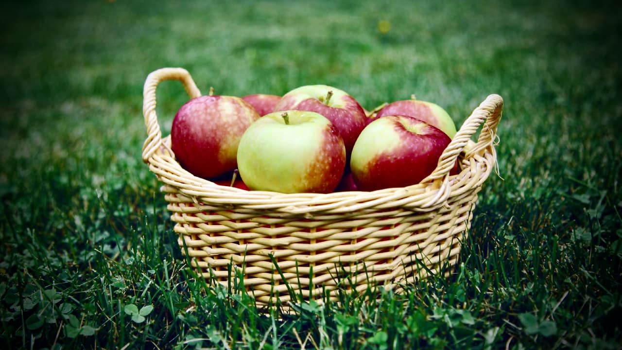 Basket of apples representing a gift shared with the community