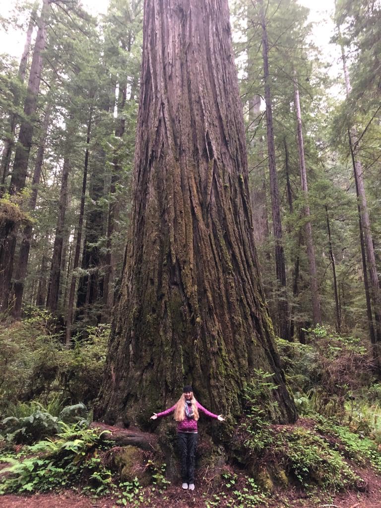 Andrea Lee with her arms stretched out to her sides standing in front of a giant redwood tree that dwarfs her