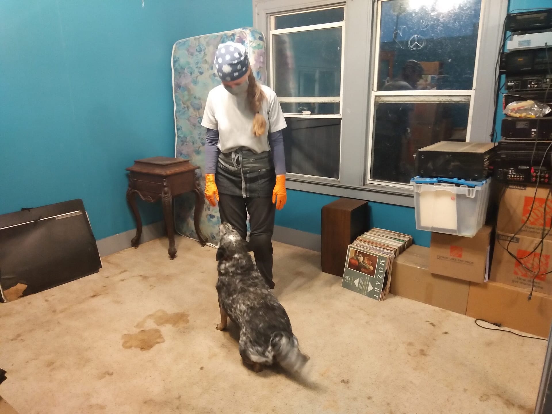 Andrea Lee greets the client's dog in the newly cleared bedroom, with organized boxes and belongings neatly grouped around the room.